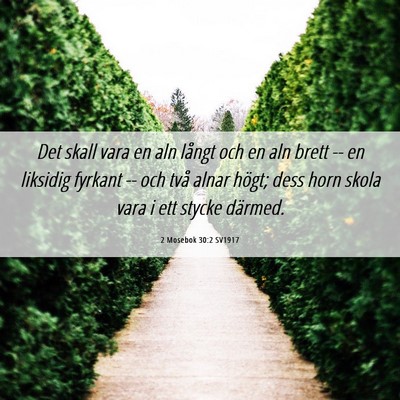 Picture 06 - 2 Mosebok 30:2 SV1917 - Det skall vara en aln långt och en aln brett -- - Bible Verse Picture