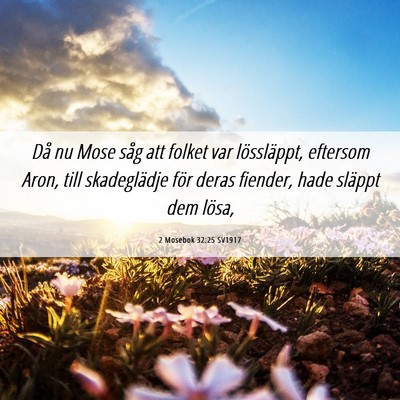 Picture 06 - 2 Mosebok 32:25 SV1917 - Då nu Mose såg att folket var lössläppt, - Bible Verse Picture