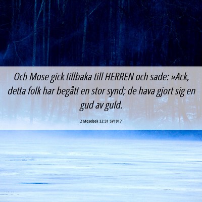 Picture 06 - 2 Mosebok 32:31 SV1917 - Och Mose gick tillbaka till HERREN och sade: - Bible Verse Picture
