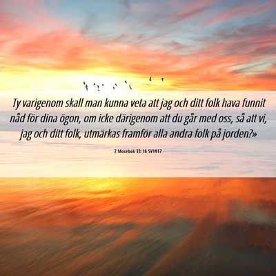 Picture 06 - 2 Mosebok 33:16 SV1917 - Ty varigenom skall man kunna veta att jag och - Bible Verse Picture