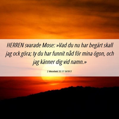 Picture 06 - 2 Mosebok 33:17 SV1917 - HERREN svarade Mose: »Vad du nu har begärt - Bible Verse Picture