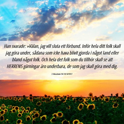 Picture 06 - 2 Mosebok 34:10 SV1917 - Han svarade: »Välan, jag vill sluta ett - Bible Verse Picture