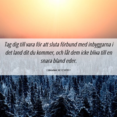 Picture 06 - 2 Mosebok 34:12 SV1917 - Tag dig till vara för att sluta förbund med - Bible Verse Picture