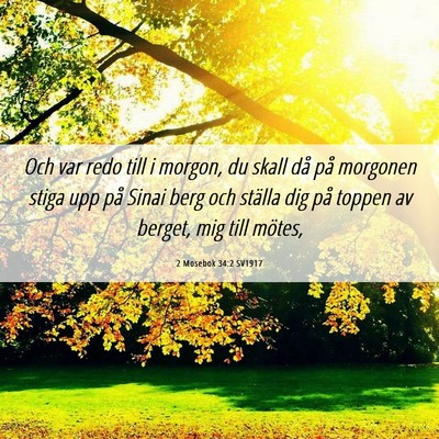 Picture 06 - 2 Mosebok 34:2 SV1917 - Och var redo till i morgon, du skall då på - Bible Verse Picture