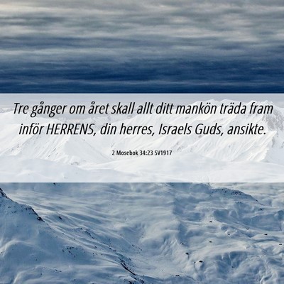 Picture 06 - 2 Mosebok 34:23 SV1917 - Tre gånger om året skall allt ditt mankön - Bible Verse Picture