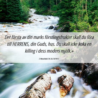 Picture 06 - 2 Mosebok 34:26 SV1917 - Det första av din marks förstlingsfrukter skall - Bible Verse Picture