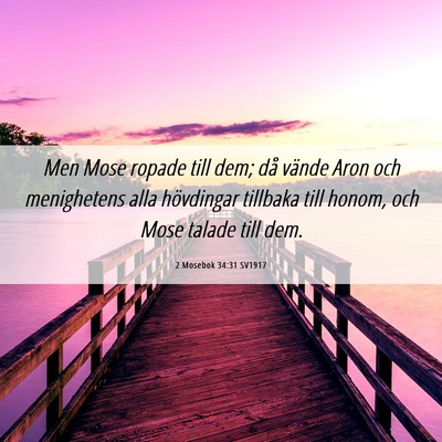 Picture 06 - 2 Mosebok 34:31 SV1917 - Men Mose ropade till dem; då vände Aron och - Bible Verse Picture