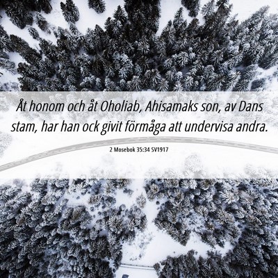 Picture 06 - 2 Mosebok 35:34 SV1917 - Åt honom och åt Oholiab, Ahisamaks son, av Dans - Bible Verse Picture