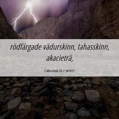 Picture 06 - 2 Mosebok 35:7 SV1917 - rödfärgade vädurskinn, tahasskinn, - Bible Verse Picture