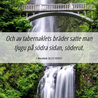 Picture 06 - 2 Mosebok 36:23 SV1917 - Och av tabernaklets bräder satte man tjugu på - Bible Verse Picture