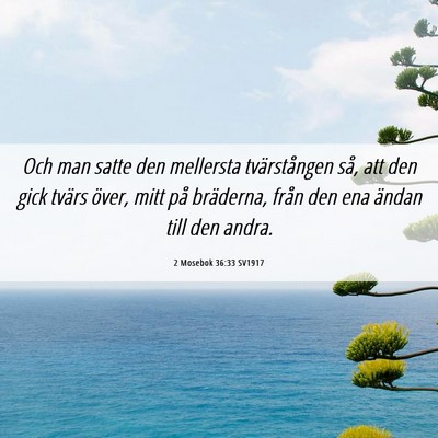 Picture 06 - 2 Mosebok 36:33 SV1917 - Och man satte den mellersta tvärstången så, - Bible Verse Picture