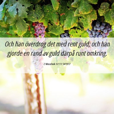 Picture 06 - 2 Mosebok 37:11 SV1917 - Och han överdrog det med rent guld; och han - Bible Verse Picture