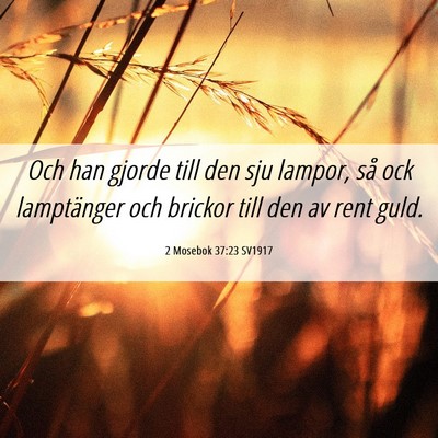 Picture 06 - 2 Mosebok 37:23 SV1917 - Och han gjorde till den sju lampor, så ock - Bible Verse Picture