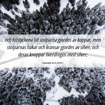 Picture 06 - 2 Mosebok 38:16 SV1917 - och fotstyckena till stolparna gjordes av koppar, - Bible Verse Picture