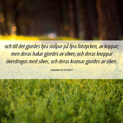 Picture 06 - 2 Mosebok 38:19 SV1917 - och till det gjordes fyra stolpar på fyra - Bible Verse Picture