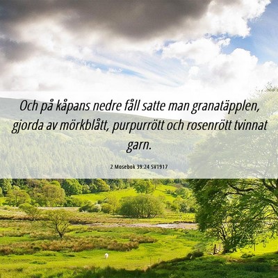 Picture 06 - 2 Mosebok 39:24 SV1917 - Och på kåpans nedre fåll satte man - Bible Verse Picture