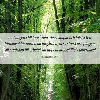 Picture 06 - 2 Mosebok 39:40 SV1917 - omhängena till förgården, dess stolpar och - Bible Verse Picture