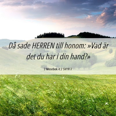 Picture 06 - 2 Mosebok 4:2 SV1917 - Då sade HERREN till honom: »Vad är det du har - Bible Verse Picture