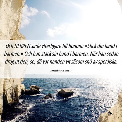 Picture 06 - 2 Mosebok 4:6 SV1917 - Och HERREN sade ytterligare till honom: »Stick - Bible Verse Picture