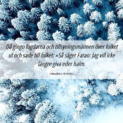 Picture 06 - 2 Mosebok 5:10 SV1917 - Då gingo fogdarna och tillsyningsmännen över - Bible Verse Picture