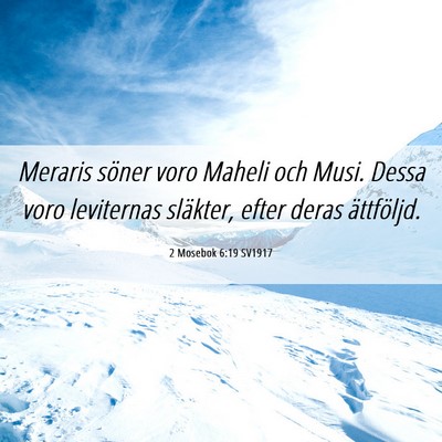 Picture 06 - 2 Mosebok 6:19 SV1917 - Meraris söner voro Maheli och Musi. Dessa voro - Bible Verse Picture