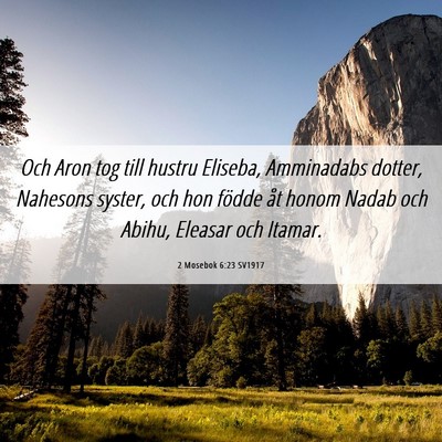 Picture 06 - 2 Mosebok 6:23 SV1917 - Och Aron tog till hustru Eliseba, Amminadabs - Bible Verse Picture