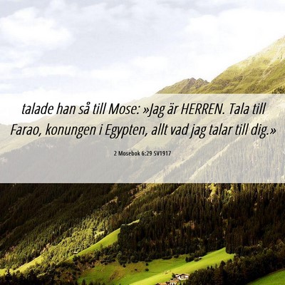 Picture 06 - 2 Mosebok 6:29 SV1917 - talade han så till Mose: »Jag är HERREN. Tala - Bible Verse Picture
