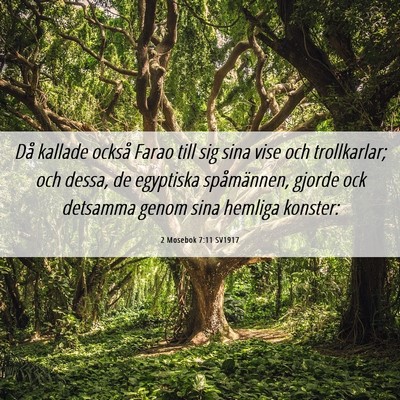 Picture 06 - 2 Mosebok 7:11 SV1917 - Då kallade också Farao till sig sina vise och - Bible Verse Picture