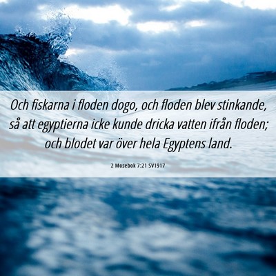 Picture 06 - 2 Mosebok 7:21 SV1917 - Och fiskarna i floden dogo, och floden blev - Bible Verse Picture