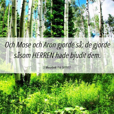 Picture 06 - 2 Mosebok 7:6 SV1917 - Och Mose och Aron gjorde så; de gjorde såsom - Bible Verse Picture