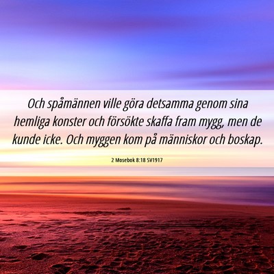 Picture 06 - 2 Mosebok 8:18 SV1917 - Och spåmännen ville göra detsamma genom sina - Bible Verse Picture