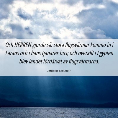 Picture 06 - 2 Mosebok 8:24 SV1917 - Och HERREN gjorde så: stora flugsvärmar kommo - Bible Verse Picture