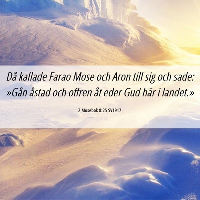 Picture 06 - 2 Mosebok 8:25 SV1917 - Då kallade Farao Mose och Aron till sig och - Bible Verse Picture