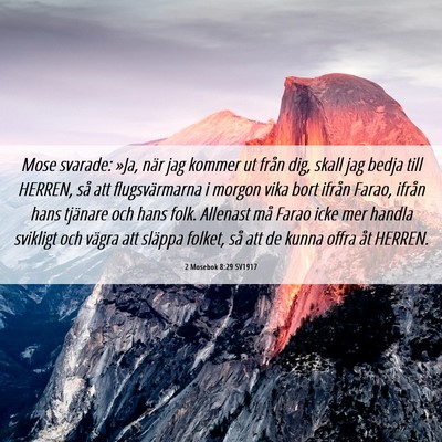 Picture 06 - 2 Mosebok 8:29 SV1917 - Mose svarade: »Ja, när jag kommer ut från dig, - Bible Verse Picture