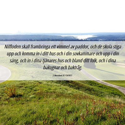 Picture 06 - 2 Mosebok 8:3 SV1917 - Nilfloden skall frambringa ett vimmel av paddor, - Bible Verse Picture