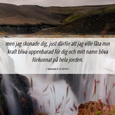 Picture 06 - 2 Mosebok 9:16 SV1917 - men jag skonade dig, just därför att jag ville - Bible Verse Picture