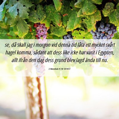 Picture 06 - 2 Mosebok 9:18 SV1917 - se, då skall jag i morgon vid denna tid låta - Bible Verse Picture