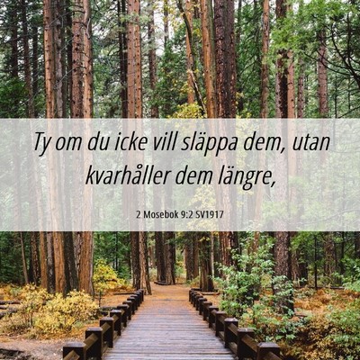 Picture 06 - 2 Mosebok 9:2 SV1917 - Ty om du icke vill släppa dem, utan kvarhåller - Bible Verse Picture