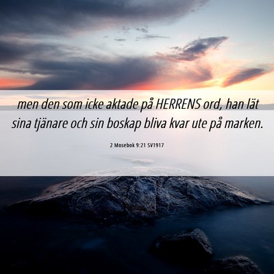 Picture 06 - 2 Mosebok 9:21 SV1917 - men den som icke aktade på HERRENS ord, han lät - Bible Verse Picture