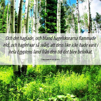 Picture 06 - 2 Mosebok 9:24 SV1917 - Och det haglade, och bland hagelskurarna flammade - Bible Verse Picture