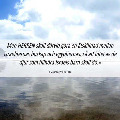 Picture 06 - 2 Mosebok 9:4 SV1917 - Men HERREN skall därvid göra en åtskillnad - Bible Verse Picture