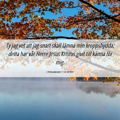 Picture 06 - 2 Petrusbrevet 1:14 SV1917 - Ty jag vet att jag snart skall lämna min - Bible Verse Picture