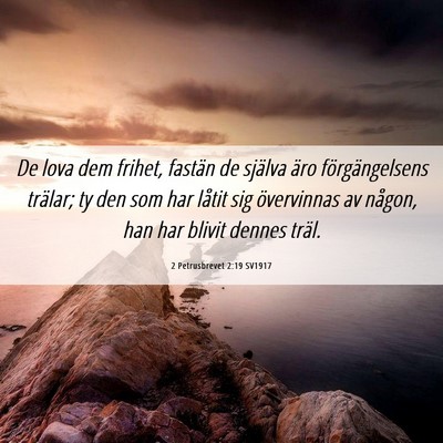 Picture 06 - 2 Petrusbrevet 2:19 SV1917 - De lova dem frihet, fastän de själva äro - Bible Verse Picture