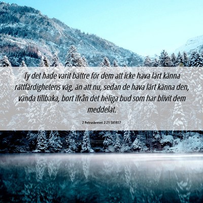 Picture 06 - 2 Petrusbrevet 2:21 SV1917 - Ty det hade varit bättre för dem att icke hava - Bible Verse Picture