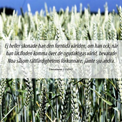 Picture 06 - 2 Petrusbrevet 2:5 SV1917 - Ej heller skonade han den forntida världen, om - Bible Verse Picture