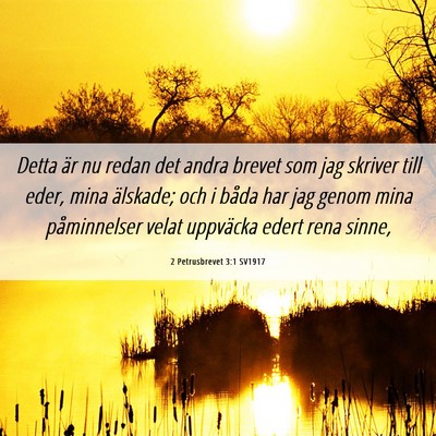 Picture 06 - 2 Petrusbrevet 3:1 SV1917 - Detta är nu redan det andra brevet som jag - Bible Verse Picture