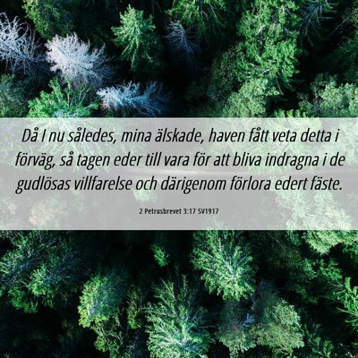 Picture 06 - 2 Petrusbrevet 3:17 SV1917 - Då I nu således, mina älskade, haven fått - Bible Verse Picture