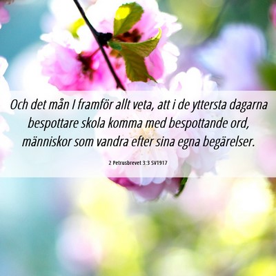 Picture 06 - 2 Petrusbrevet 3:3 SV1917 - Och det mån I framför allt veta, att i de - Bible Verse Picture