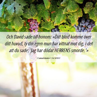 Picture 06 - 2 Samuelsboken 1:16 SV1917 - Och David sade till honom: »Ditt blod komme - Bible Verse Picture