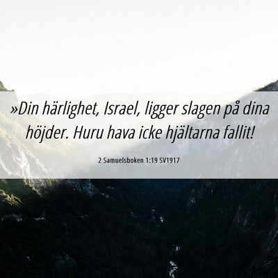 Picture 06 - 2 Samuelsboken 1:19 SV1917 - »Din härlighet, Israel, ligger slagen på dina - Bible Verse Picture